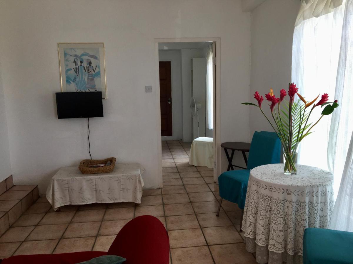 Apartament Carenage View St. George's Zewnętrze zdjęcie